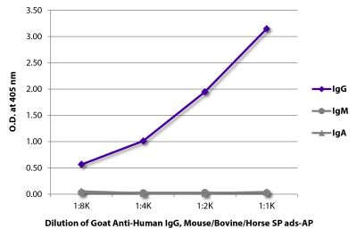 ELISA plate was coated with purified human IgG, IgM, and IgA.  Immunoglobulins were detected with serially diluted Goat Anti-Human IgG, Mouse/Bovine/Horse SP ads-AP (SB Cat. No. 2045-04).