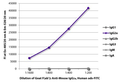 FLISA plate was coated with purified mouse IgG<sub>1</sub>, IgG<sub>2a</sub>, IgG<sub>2b</sub>, IgG<sub>3</sub>, IgM, and IgA.  Immunoglobulins were detected with serially diluted Goat F(ab')<sub>2</sub> Anti-Mouse IgG<sub>2a</sub>, Human ads-FITC (SB Cat. No. 1082-02).