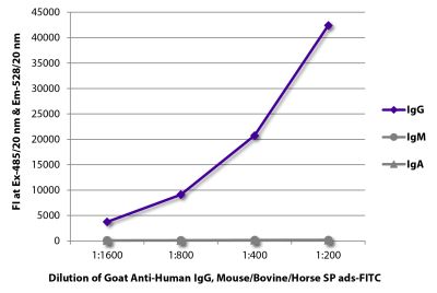 FLISA plate was coated with purified human IgG, IgM, and IgA.  Immunoglobulins were detected with serially diluted Goat Anti-Human IgG, Mouse/Bovine/Horse SP ads-FITC (SB Cat. No. 2045-02).