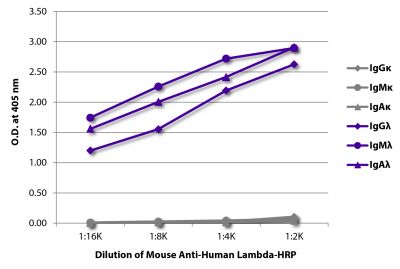 ELISA plate was coated with purified human IgGκ, IgMκ, IgAκ, IgGλ, IgMλ, and IgAλ.  Immunoglobulins were detected with serially diluted Mouse Anti-Human Lambda-HRP (SB Cat. No. 9180-05).