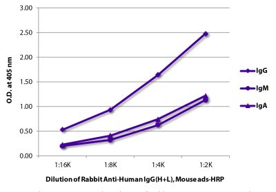 ELISA plate was coated with purified human IgG, IgM, and IgA.  Immunoglobulins were detected with Rabbit Anti-Human IgG(H+L), Mouse ads-HRP (SB Cat. No. 6145-05).