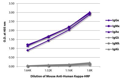 ELISA plate was coated with purified human IgGκ, IgMκ, IgAκ, IgGλ, IgMλ, and IgAλ.  Immunoglobulins were detected with serially diluted Mouse Anti-Human Kappa-HRP (SB Cat. No. 9230-05).