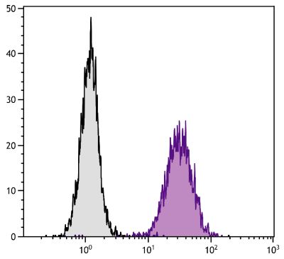 Human HPV-16 E6/E7 transformed cell line HS-5 was stained with Mouse Anti-Human CD51-PE (SB Cat. No. 9656-09).