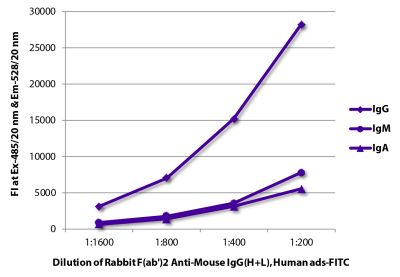 FLISA plate was coated with purified mouse IgG, IgM, and IgA.  Immunoglobulins were detected with serially diluted Rabbit F(ab')<sub>2</sub> Anti-Mouse IgG(H+L), Human ads-FITC (SB Cat. No. 6125-02).