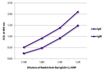 ELISA plate was coated with purified rat IgG and IgM.  Immunoglobulins were detected with Rabbit Anti-Rat IgG(H+L)-HRP (SB Cat. No. 6180-05).