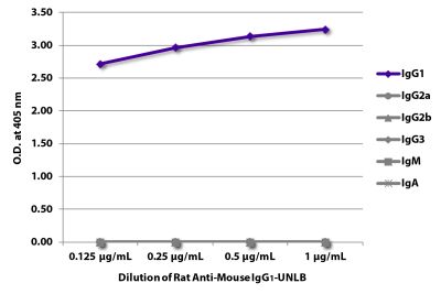 ELISA plate was coated with purified mouse IgG<sub>1</sub>, IgG<sub>2a</sub>, IgG<sub>2b</sub>, IgG<sub>3</sub>, IgM, and IgA.  Immunoglobulins were detected with serially diluted Rat Anti-Mouse IgG<sub>1</sub>-UNLB (SB Cat. No. 1144-01) followed by Mouse Anti-Rat IgG<sub>2b</sub>-HRP (SB Cat. No. 3070-05).