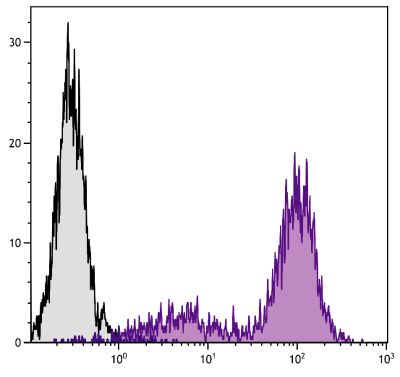 C57BL/6 mouse cytotoxic T lymphocyte cell line CTLL-2 was stained with Rat Anti-Mouse CD25-SPRD (SB Cat. No. 1600-13).