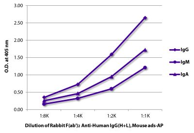 ELISA plate was coated with purified human IgG, IgM, and IgA.  Immunoglobulins were detected with Rabbit F(ab')<sub>2</sub> Anti-Human IgG(H+L), Mouse ads-AP (SB Cat. No. 6005-04).