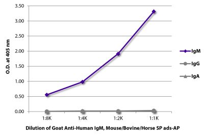 ELISA plate was coated with purified human IgM, IgG, and IgA.  Immunoglobulins were detected with serially diluted Goat Anti-Human IgM, Mouse/Bovine/Horse SP ads-AP  (SB Cat. No. 2023-04).