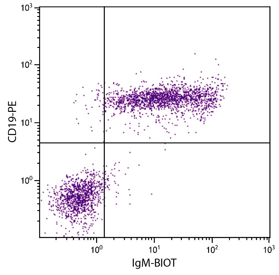 Biotin Goat Anti-Mouse IgM | SouthernBiotech