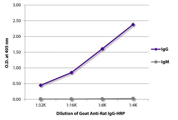 HRP Goat Anti-Rat IgG