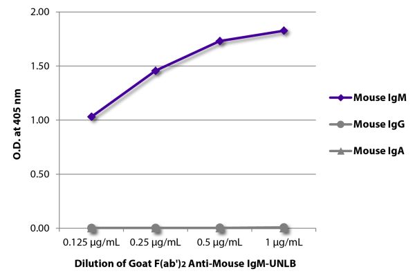 ELISA plate was coated with purified mouse IgM, IgG, and IgA.  Immunoglobulins were detected with serially diluted Goat F(ab')<sub>2</sub> Anti-Mouse IgM-UNLB (SB Cat. No. 1023-01) followed by Swine Anti-Goat IgG(H+L), Human/Rat/Mouse SP ads-HRP (SB Cat. 