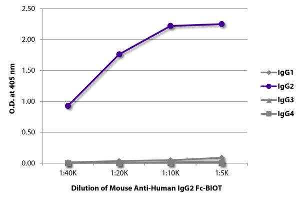 ELISA plate was coated with purified human IgG<sub>1</sub>, IgG<sub>2</sub>, IgG<sub>3</sub>, and IgG<sub>4</sub>.  Immunoglobulins were detected with serially diluted Mouse Anti-Human IgG<sub>2</sub> Fc-BIOT (SB Cat. No. 9060-08) followed by Streptavidin