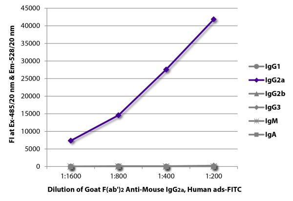 FLISA plate was coated with purified mouse IgG<sub>1</sub>, IgG<sub>2a</sub>, IgG<sub>2b</sub>, IgG<sub>3</sub>, IgM, and IgA.  Immunoglobulins were detected with serially diluted Goat F(ab')<sub>2</sub> Anti-Mouse IgG<sub>2a</sub>, Human ads-FITC (SB Cat