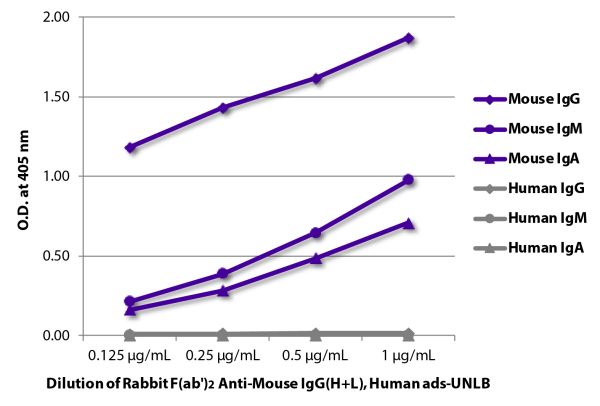 ELISA plate was coated with purified mouse IgG, IgM, and IgA and human IgG, IgM, and IgA.  Immunoglobulins were detected with serially diluted Rabbit F(ab')<sub>2</sub> Anti-Mouse IgG(H+L), Human ads-UNLB (SB Cat. No. 6125-01) followed by Goat Anti-Rabbit