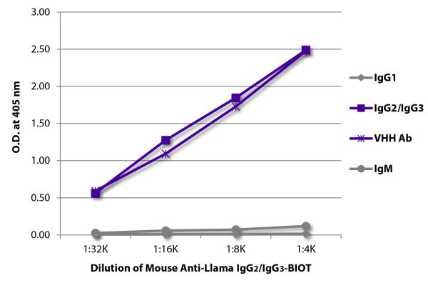 ELISA plate was coated with purified llama IgG<sub>1</sub>, IgG<sub>2</sub>/IgG<sub>3</sub>,  IgM, and a VHH antibody.  Immunoglobulins were detected with Mouse Anti-Llama IgG<sub>2</sub>/IgG<sub>3</sub>-BIOT (SB Cat. No. 5880-08) followed by Streptavidin