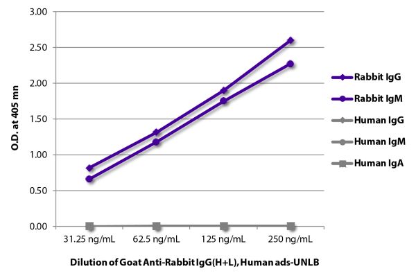 ELISA plate was coated with purified rabbit IgG and IgM and human IgG, IgM, and IgA.  Immunoglobulins were detected with serially diluted Goat Anti-Rabbit IgG(H+L), Human ads-UNLB (SB Cat. No. 4051-01) followed by Swine Anti-Goat IgG(H+L), Human/Rat/Mouse