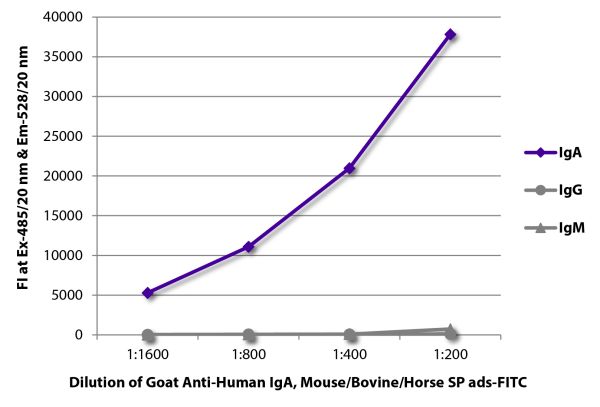 FLISA plate was coated with purified human IgA, IgG, and IgM.  Immunoglobulins were detected with serially diluted Goat Anti-Human IgA, Mouse/Bovine/Horse SP ads-FITC (SB Cat. No. 2053-02).