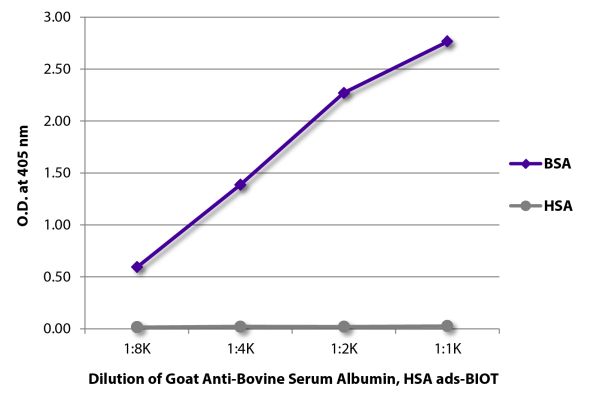 ELISA plate was coated with purified bovine serum albumin and human serum albumin.  Albumins were detected with serially diluted Goat Anti-Bovine Serum Albumin, Human Serum Albumin ads-BIOT (SB Cat. No. 2079-08) followed by Streptavidin-HRP (SB Cat. No. 7