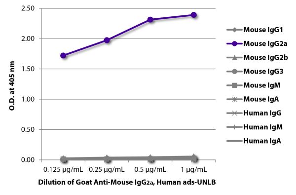 ELISA plate was coated with purified mouse IgG<sub>1</sub>, IgG<sub>2a</sub>, IgG<sub>2b</sub>, IgG<sub>3</sub>, IgM, and IgA and human IgG, IgM, and IgA.  Immunoglobulins were detected with serially diluted Goat Anti-Mouse IgG<sub>2a</sub>, Human ads-UNL