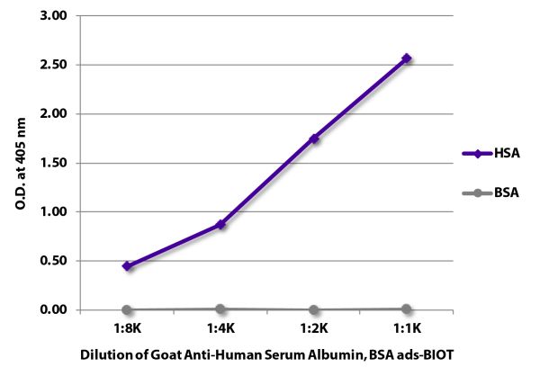 ELISA plate was coated with purified human serum albumin and bovine serum albumin.  Albumins were detected with serially diluted Goat Anti-Human Serum Albumin, Bovine Serum Albumin ads-BIOT (SB Cat. No. 2080-08) followed by Streptavidin-HRP (SB Cat. No. 7