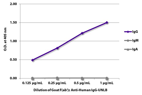 ELISA plate was coated with purified human IgG, IgM, and IgA.  Immunoglobulins were detected with serially diluted Goat F(ab')<sub>2</sub> Anti-Human IgG-UNLB (SB Cat. No. 2042-01) followed by Swine Anti-Goat IgG(H+L), Human/Rat/Mouse SP ads-HRP (SB Cat. 