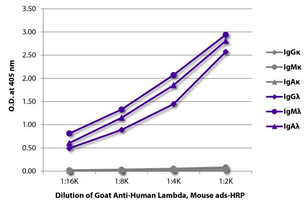 ELISA plate was coated with purified human IgGκ, IgMκ, IgAκ, IgGλ, IgMλ, and IgAλ.  Immunoglobulins were detected with serially diluted Goat Anti-Human Lambda, Mouse ads-HRP (SB Cat. No. 2071-05).