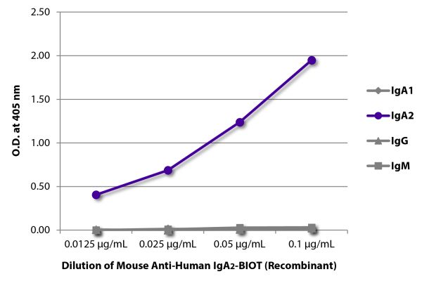 ELISA plate was coated with purified human IgG, IgM, IgA<sub>1</sub>, and IgA<sub>2</sub>. Immunoglobulins were detected with serially diluted Mouse Anti-Human IgA<sub>2</sub>-BIOT (Recombinant) - (SB Cat. No. 29140-08) followed by Streptavidin-HRP (SB Ca