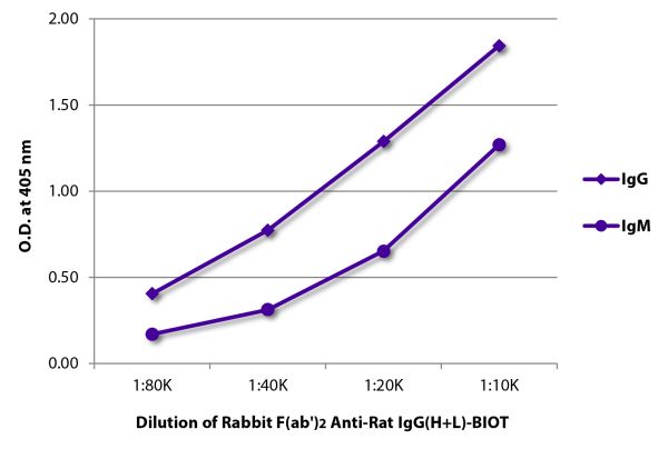 ELISA plate was coated with purified rat IgG and IgM.  Immunoglobulins were detected with serially diluted Rabbit F(ab')<sub>2</sub> Anti-Rat IgG(H+L)-BIOT (SB Cat. No. 6130-08) followed by Streptavidin-HRP (SB  Cat. No. 7105-05).
