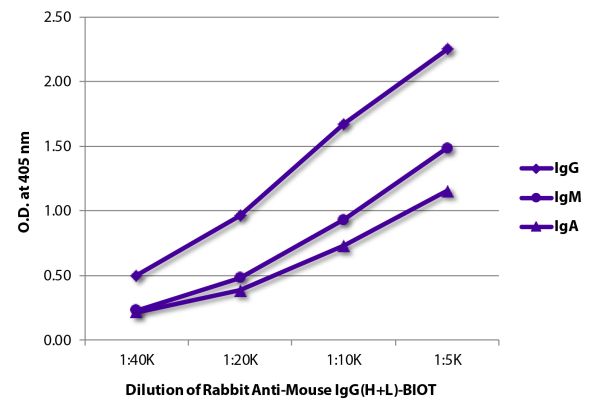 ELISA plate was coated with purified mouse IgG, IgM, and IgA.  Immunoglobulins were detected with Rabbit Anti-Mouse IgG(H+L)-BIOT (SB Cat. No. 6170-08) followed by Streptavidin-HRP (SB Cat. No. 7100-05).