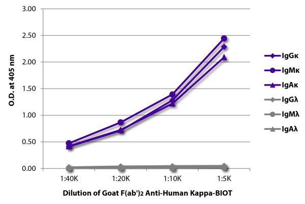ELISA plate was coated with purified human IgGκ, IgMκ, IgAκ, IgGλ, IgMλ, and IgAλ.  Immunoglobulins were detected with serially diluted Goat F(ab')<sub>2</sub> Anti-Human Kappa-BIOT (SB Cat. No. 2062-08) followed by Streptavidin-HRP (SB Cat. No. 7100-05).
