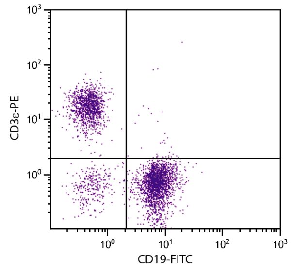 BALB/c mouse splenocytes were stained with Hamster Anti-Mouse CD3ε-PE (SB Cat. No. 1530-09) and Rat Anti-Mouse CD19-FITC (SB Cat. No. 1575-02).