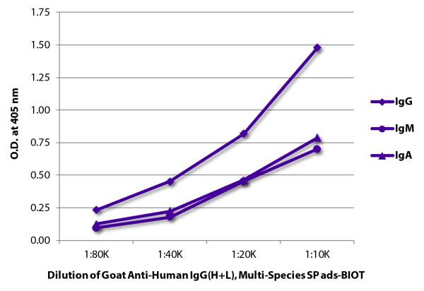 ELISA plate was coated with purified human IgG, IgM, and IgA.  Immunoglobulins were detected with serially diluted Goat Anti-Human IgG(H+L), Multi-Species SP ads-BIOT (SB Cat. No. 2087-08) followed by Streptavidin-HRP (SB Cat. No. 7100-05).