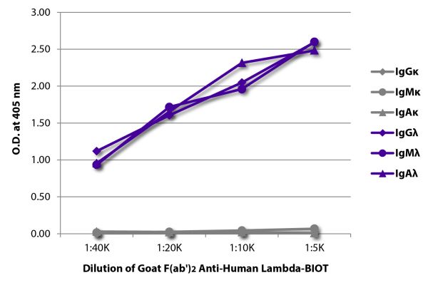 ELISA plate was coated with purified human IgGκ, IgMκ, IgAκ, IgGλ, IgMλ, and IgAλ.  Immunoglobulins were detected with serially diluted Goat F(ab')<sub>2</sub> Anti-Human Lambda-BIOT (SB Cat. No. 2072-08) followed by Streptavidin-HRP (SB Cat. No. 7100-05)