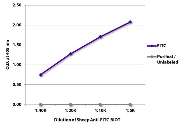 ELISA plate was coated with Goat Anti-Human IgG-FITC (SB Cat. No. 2040-02) and purified / unlabeled Syrian Hamster IgG (SB Cat. No. 0121-01).  FITC conjugated antibody and purified immunoglobulin were were detected with serially diluted Sheep Anti-FITC-BI