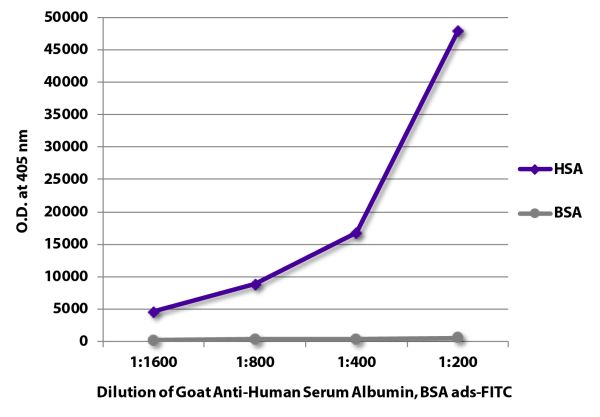 FLISA plate was coated with purified human serum albumin and bovine serum albumin.  Albumins were detected with serially diluted Goat Anti-Human Serum Albumin, Bovine Serum Albumin ads-FITC (SB Cat. No. 2080-02).