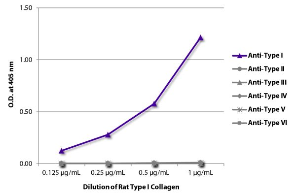 ELISA plate was coated with serially diluted Rat Type I Collagen (SB Cat. No. 1200-03).  Purified collagen was detected with Goat Anti-Type I Collagen-BIOT (SB Cat. No. 1310-08), Goat Anti-Type II Collagen-BIOT (SB Cat. No. 1320-08), Goat Anti-Type III Co