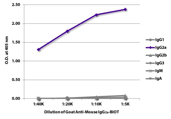 ELISA plate was coated with purified mouse IgG<sub>1</sub>, IgG<sub>2a</sub>, IgG<sub>2b</sub>, IgG<sub>3</sub>, IgM, and IgA.  Immunoglobulins were detected with serially diluted Goat Anti-Mouse IgG<sub>2a</sub>-BIOT (SB Cat. No. 1081-08) followed by Str