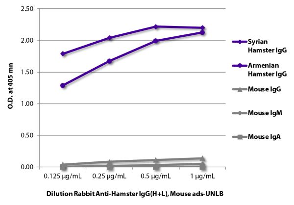 ELISA plate was coated with purified Syrian hamster IgG, Armenian hamster IgG, and mouse IgG, IgM, and IgA.  Immunoglobulins were detected with Rabbit Anti-Hamster IgG(H+L), Mouse ads-UNLB (SB Cat. No. 6211-01) followed by Goat Anti-Rabbit IgG(H+L), Mouse
