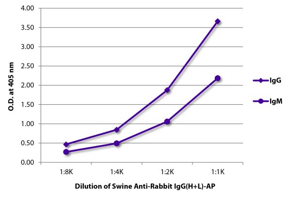 ELISA plate was coated with purified rabbit IgG and IgM.  Immunoglobulins were detected with Swine Anti-Rabbit IgG(H+L)-AP (SB Cat. No. 6311-04).