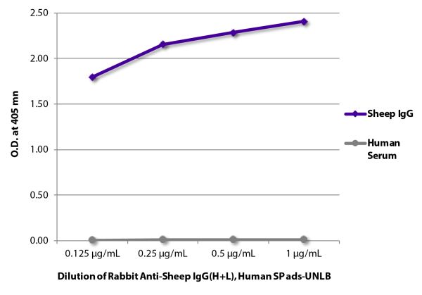 ELISA plate was coated with purified sheep IgG and human serum.  Immunoglobulin and serum were detected with Rabbit Anti-Sheep IgG(H+L), Human SP ads-UNLB (SB Cat. No. 6156-01) followed by Goat Anti-Rabbit IgG(H+L), Mouse/Human ads-HRP (SB Cat. No. 4050-0