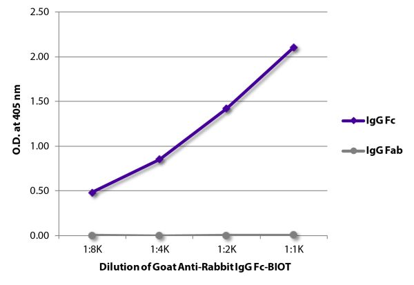 ELISA plate was coated with purified rabbit IgG Fc and IgG Fab.  Immunoglobulins were detected with serially diluted Goat Anti-Rabbit IgG Fc-BIOT (SB Cat. No. 4041-08) followed by Streptavidin-HRP (SB Cat. No. 7100-05).