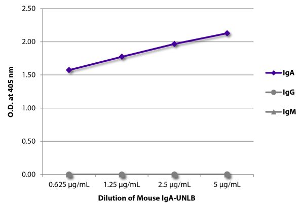 ELISA plate was coated with serially diluted Mouse IgA-UNLB (SB Cat. No. 0106-01).  Immunoglobulin was detected with Goat Anti-Mouse IgG, Human ads-BIOT (SB Cat. No. 1030-08), Goat Anti-Mouse IgA-BIOT (SB Cat. No. 1040-08), and Goat Anti-Mouse IgM, Human 