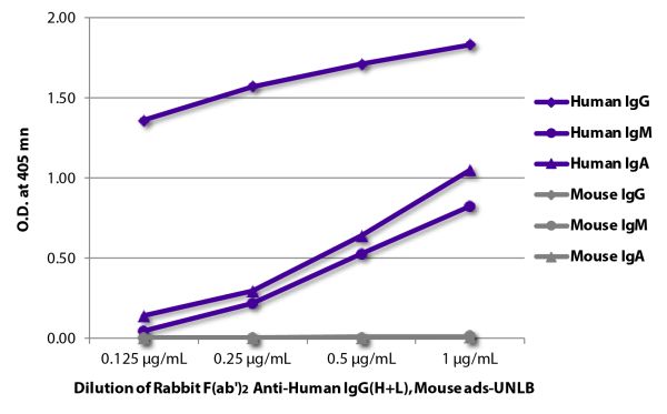 ELISA plate was coated with purified human IgG, IgM, and IgA and mouse IgG, IgM, and IgA.  Immunoglobulins were detected with Rabbit F(ab')<sub>2</sub> Anti-Human IgG(H+L), Mouse ads-UNLB (SB Cat. No. 6005-01) followed by Goat Anti-Rabbit IgG-HRP (SB Cat.