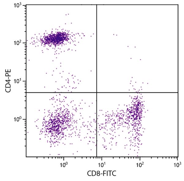 Human peripheral blood lymphocytes were stained with Mouse Anti-Human CD8-FITC (SB Cat. No. 9536-02S) and Mouse Anti-Human CD4-PE (SB Cat. No. 9522-09).