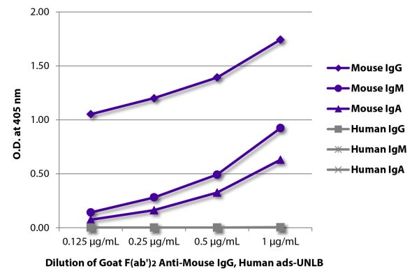 ELISA plate was coated with purified mouse IgG, IgM, and IgA and human IgG, IgM, and IgA.  Immunoglobulins were detected with serially diluted Goat F(ab')<sub>2</sub> Anti-Mouse IgG(H+L), Human ads-UNLB (SB Cat. No. 1032-01) followed by Swine Anti-Goat Ig