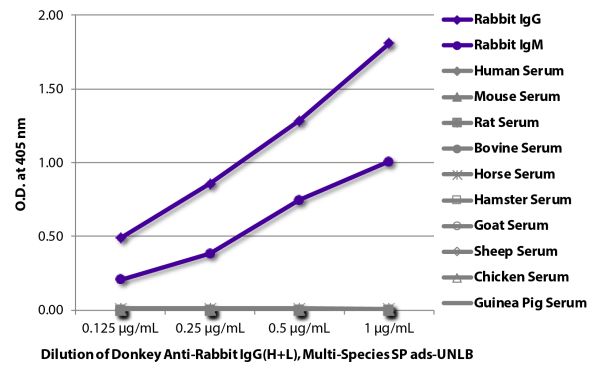 ELISA plate was coated with purified rabbit IgG and IgM and human, mouse, rat, bovine, horse, hamster, goat, sheep, chicken, and guinea pig serum.  Immunoglobulins and sera were detected with serially diluted Donkey Anti-Rabbit IgG(H+L), Multi-Species SP 