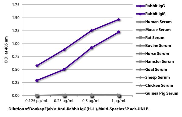 ELISA plate was coated with purified rabbit IgG and IgM and human, mouse, rat, bovine, horse, hamster, goat, sheep, chicken, and guinea pig serum.  Immunoglobulins and sera were detected with serially diluted Donkey F(ab')<sub>2</sub> Anti-Rabbit IgG(H+L)