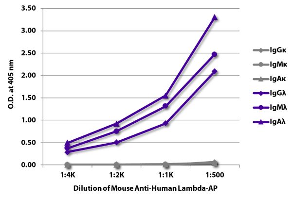 ELISA plate was coated with purified human IgGκ, IgMκ, IgAκ, IgGλ, IgMλ, and IgAλ.  Immunoglobulins were detected with serially diluted Mouse Anti-Human Lambda-AP (SB Cat. No. 9180-04).