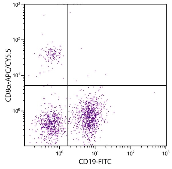 BALB/c mouse splenocytes were stained with Rat Anti-Mouse CD8α-APC/CY5.5 (SB Cat. No. 1550-18) and Rat Anti-Mouse CD19-FITC (SB Cat. No. 1575-02).